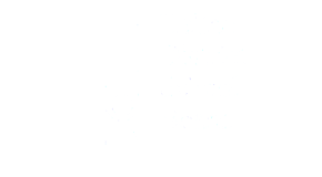 Halton District School Board